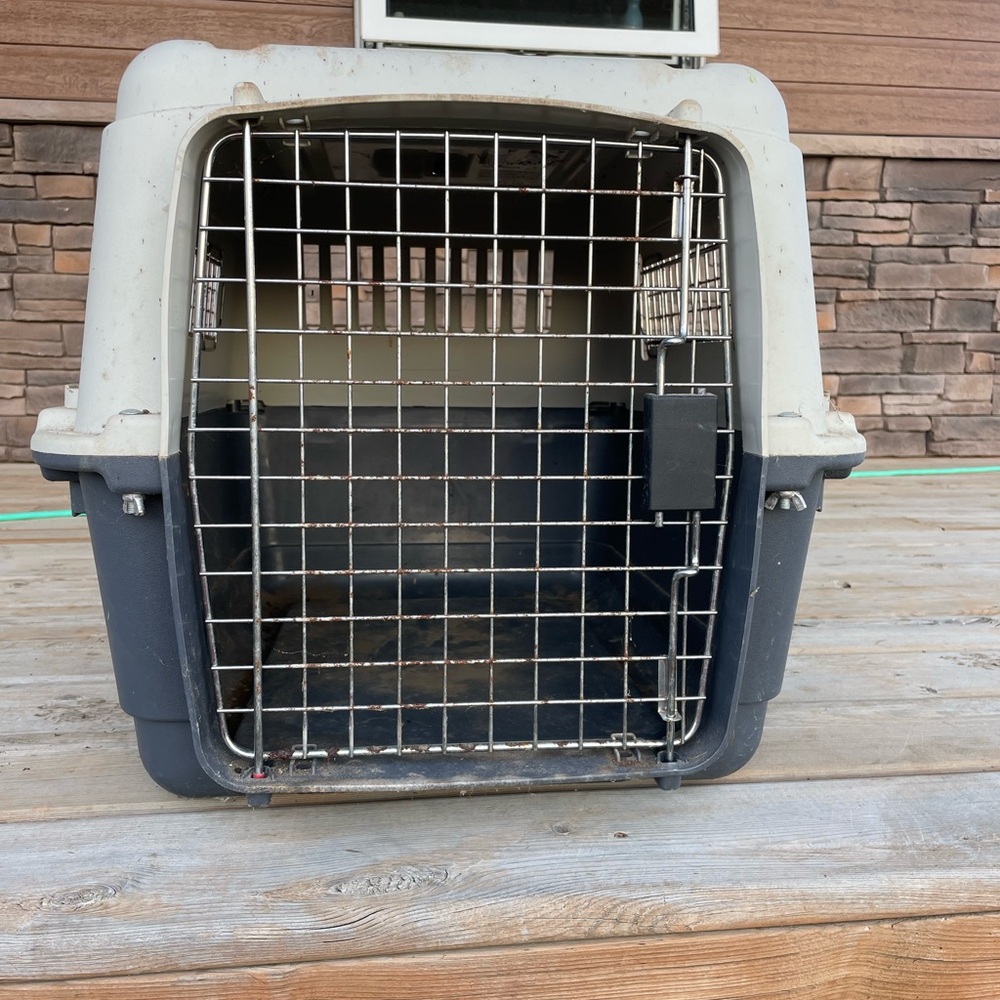 Durable Pet Travel Carrier in Dark Blue and White